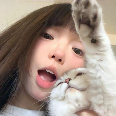 树海村
